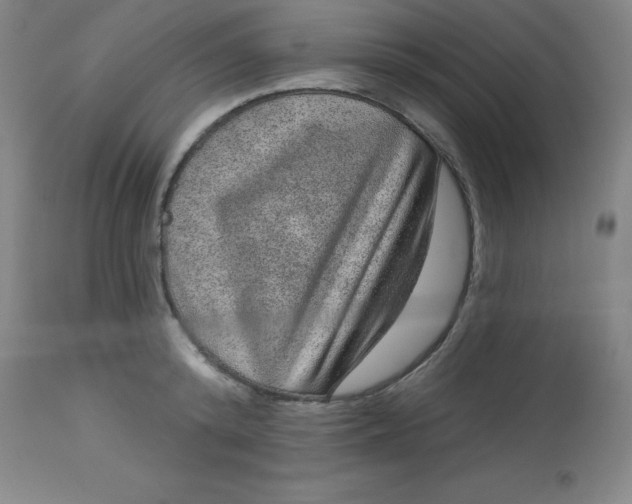 X0000113630800200910091555