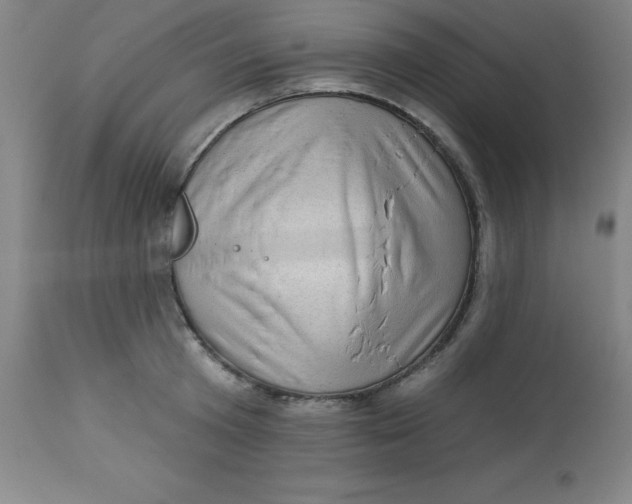 X0000113630801200910091555