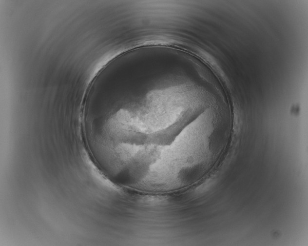 X0000113630802200910091555