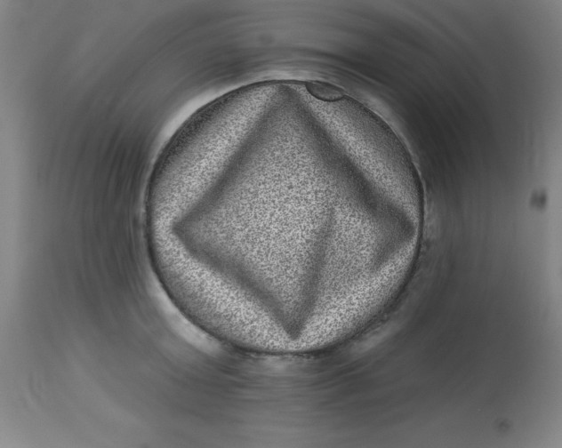 X0000113630803200910091555