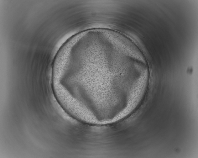 X0000113630804200910091555