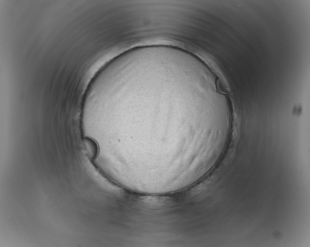 X0000113630805200910091555