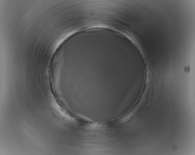 X0000113630806200910091555