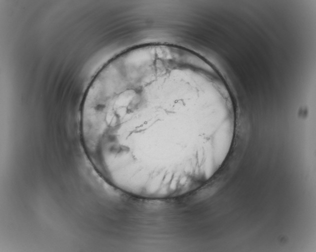 X0000113630807200910091555