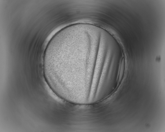 X0000113630808200910091555