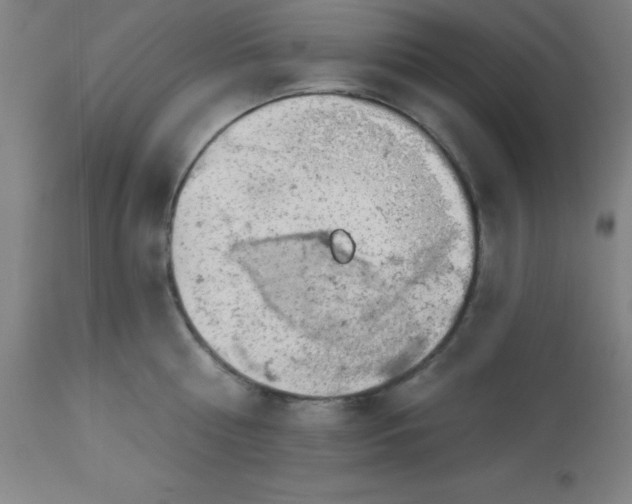 X0000113630810200910091555