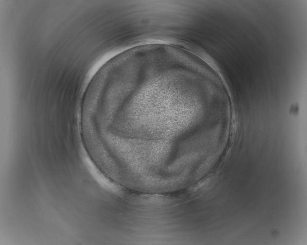 X0000113630811200910091555