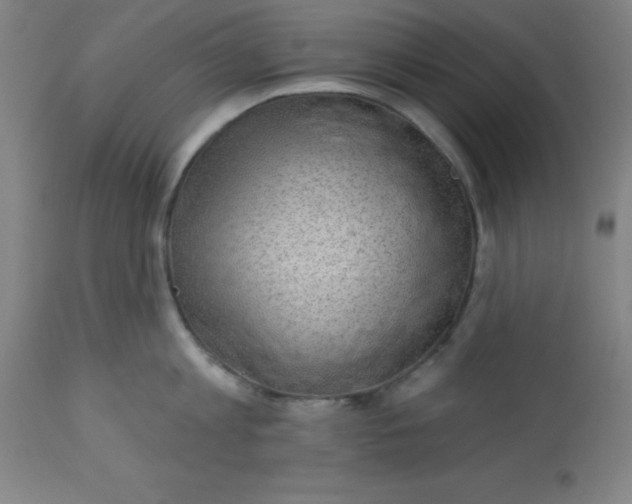 X0000113630813200910091554