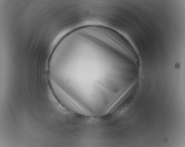 X0000113630815200910091554