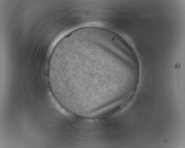 X0000113630816200910091554