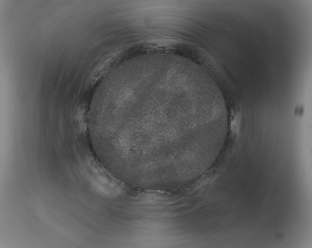 X0000113630819200910091554