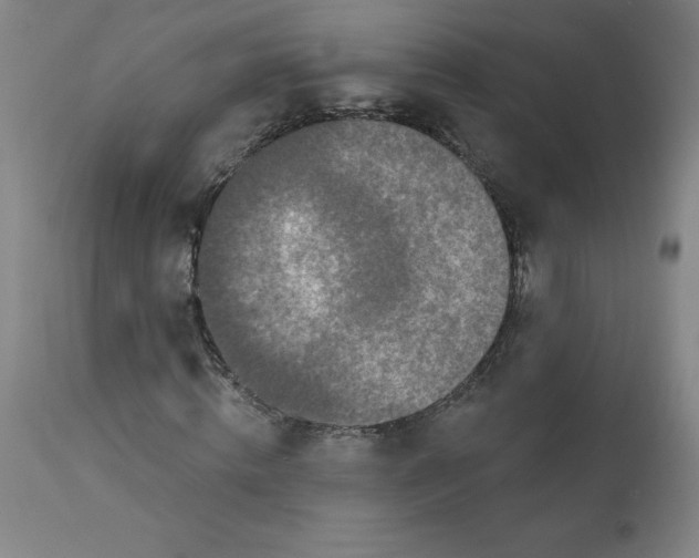 X0000113630820200910091554