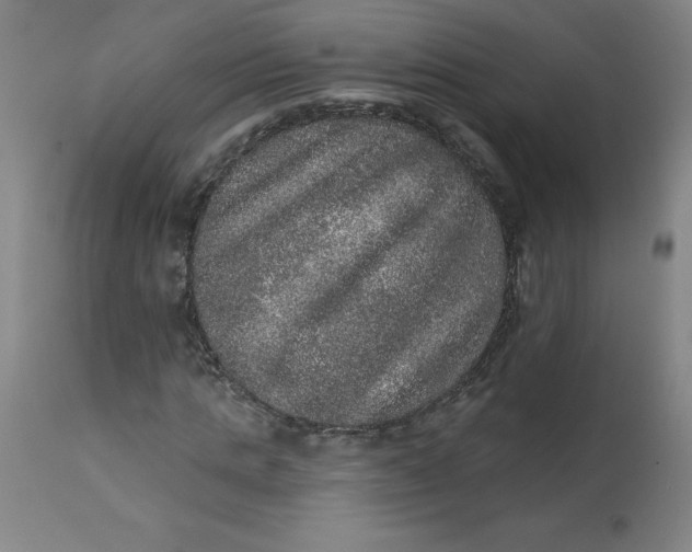 X0000113630821200910091554