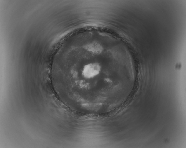 X0000113630822200910091554