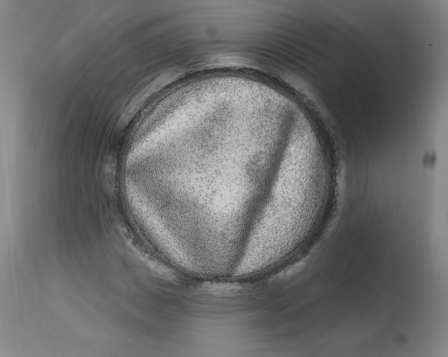 X0000113630825200910091554