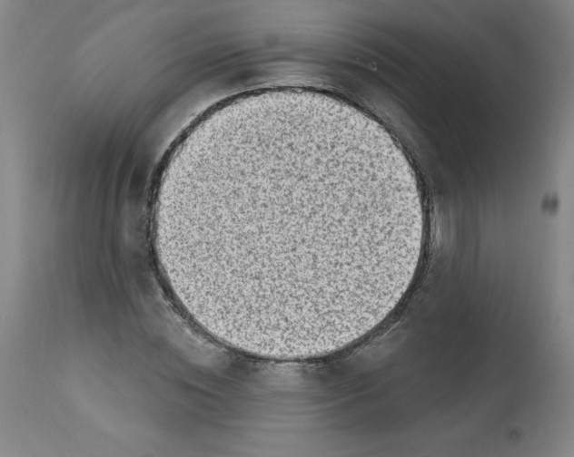 X0000113630828200910091554