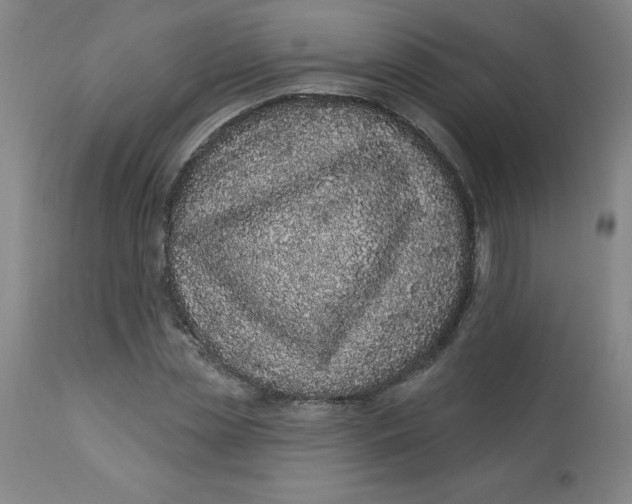 X0000113630829200910091554