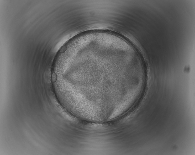 X0000113630834200910091554