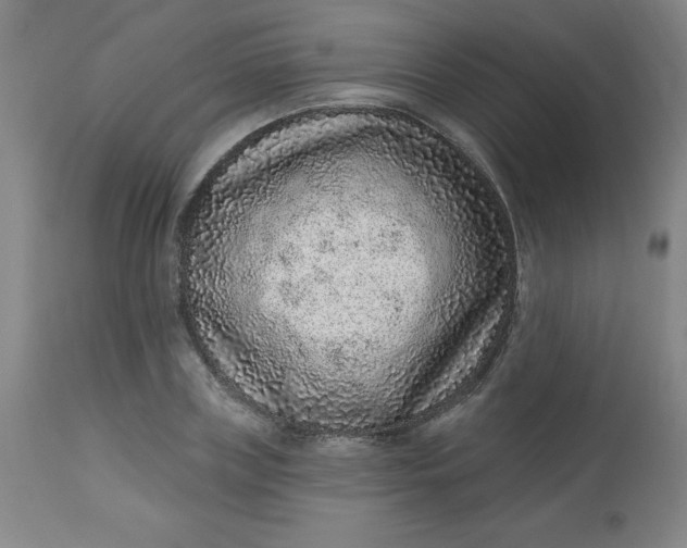 X0000113630835200910091554