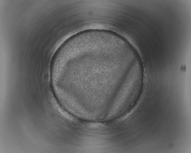 X0000113630837200910091554