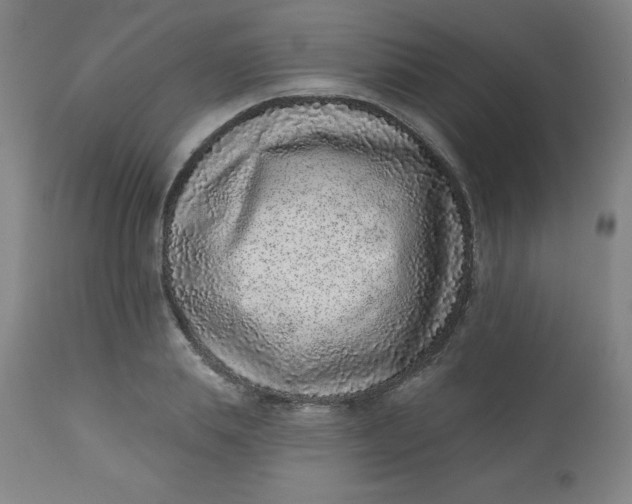 X0000113630839200910091554