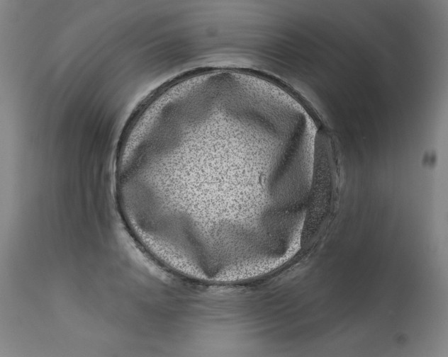 X0000113630840200910091554
