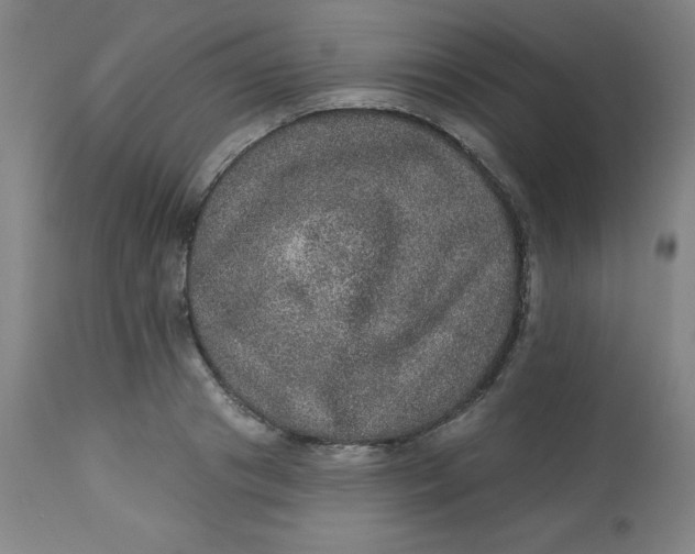 X0000113630841200910091554