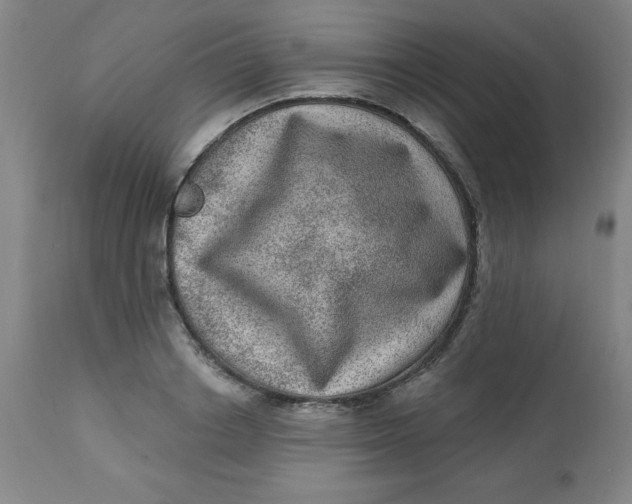 X0000113630842200910091554