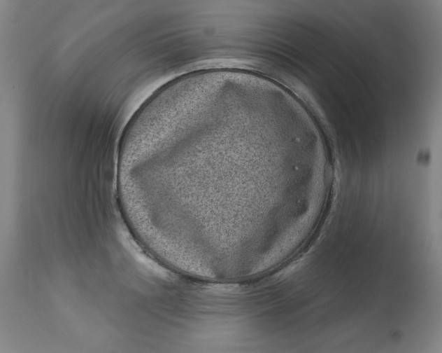 X0000113630844200910091554