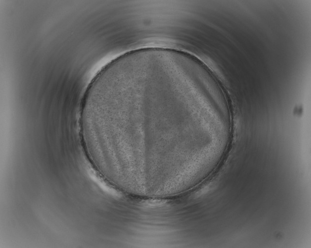 X0000113630846200910091554