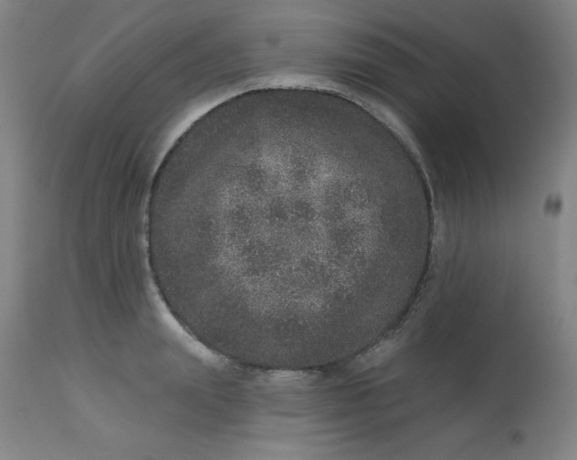 X0000113630847200910091554