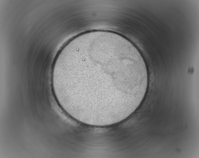 X0000113630848200910091554