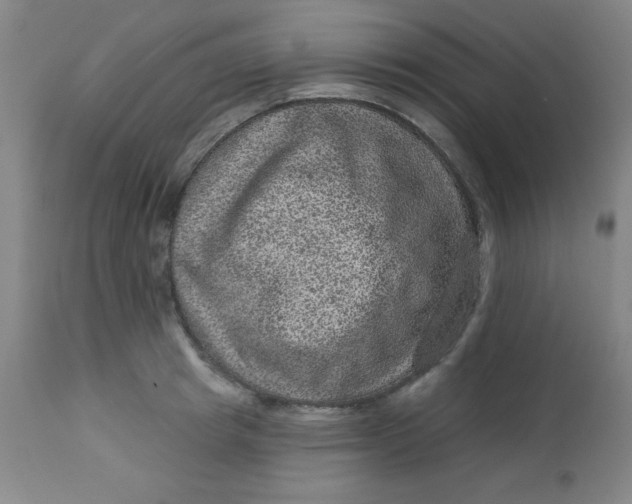X0000113630849200910091554