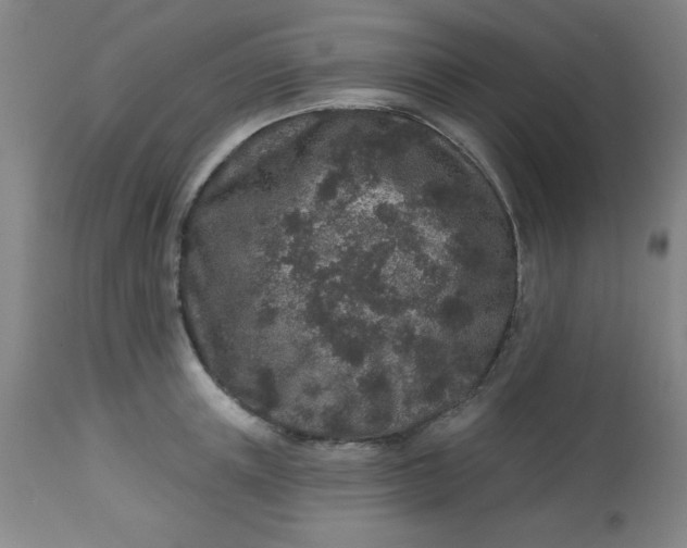 X0000113630851200910091554