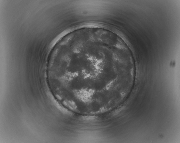 X0000113630853200910091554