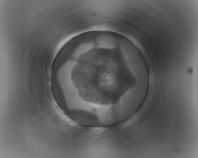 X0000113630854200910091554