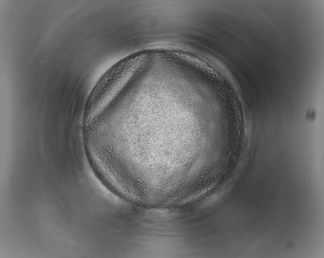X0000113630855200910091554