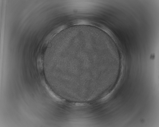 X0000113630857200910091554