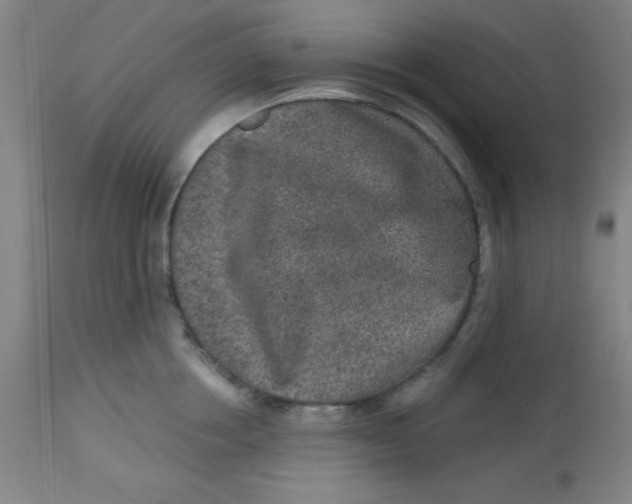 X0000113630858200910091554