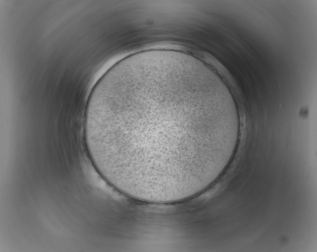 X0000113630860200910091554