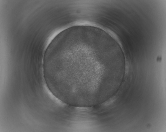 X0000113630863200910091554
