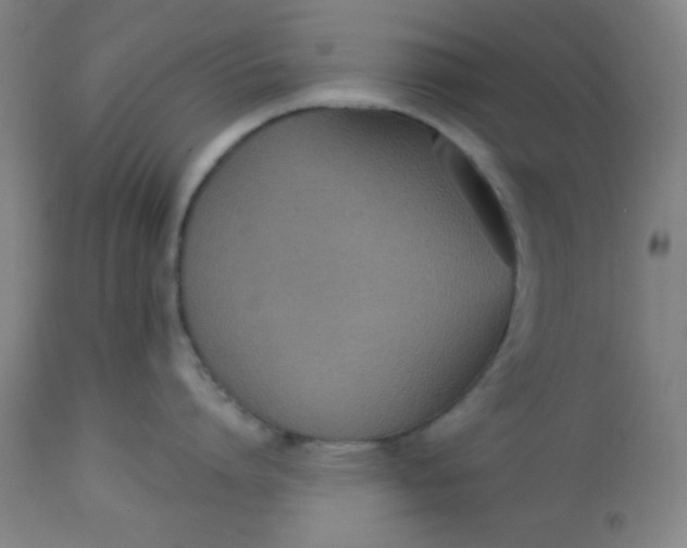 X0000113630864200910091554