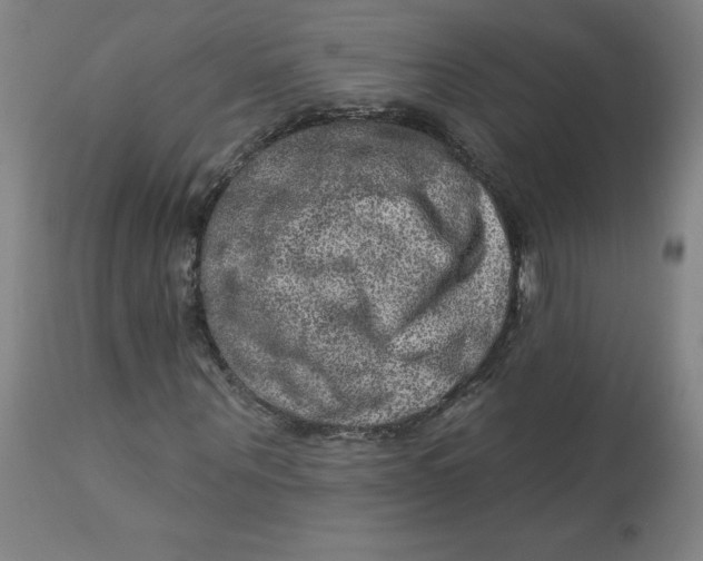 X0000113630867200910091554
