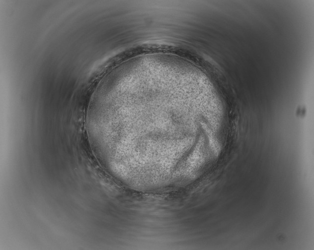 X0000113630870200910091554