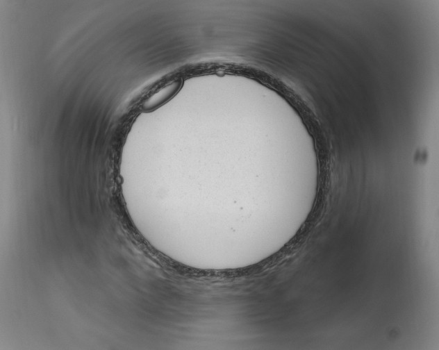 X0000113630872200910091554