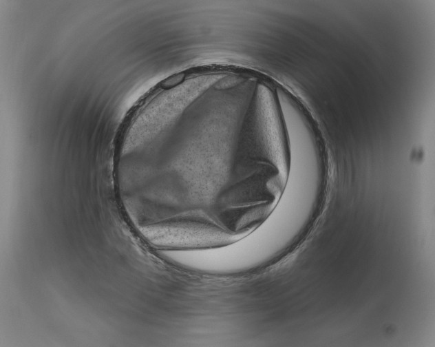 X0000113630877200910091554