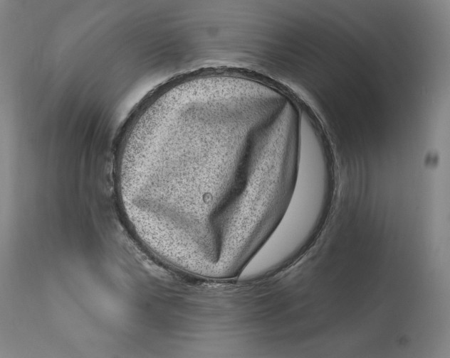X0000113630878200910091554