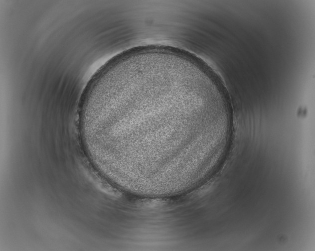 X0000113630879200910091554