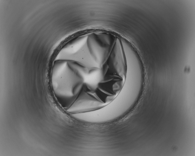 X0000113630880200910091554