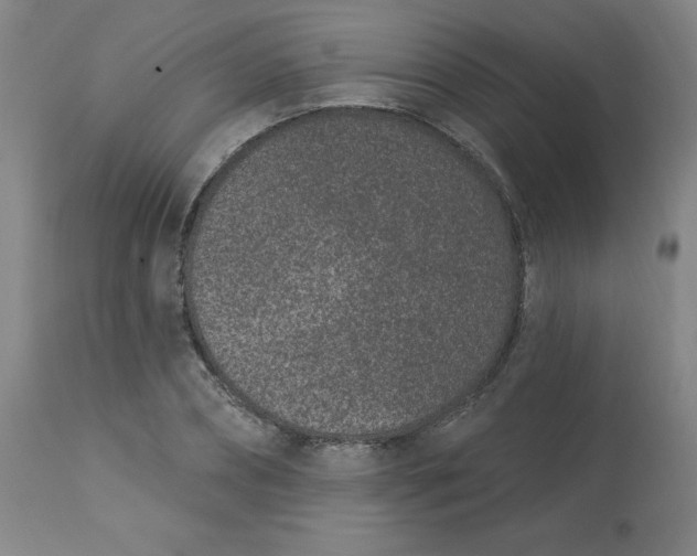 X0000113630882200910091554